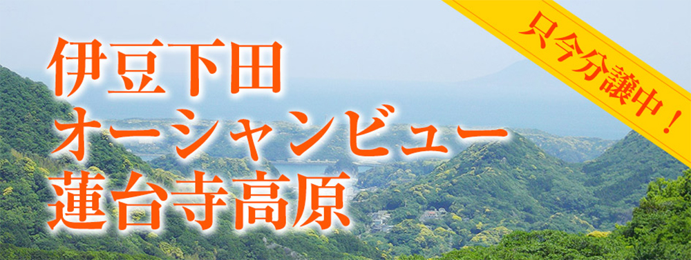 伊豆下田オーシャンビュー蓮台寺高原